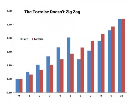 Tortoise v Hare Blog Jan 31 2016